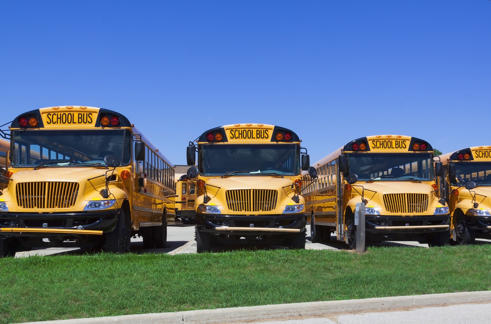 Fleet_of_School_buses_Lowman_law_Liability fleet of school busses parked in a lot