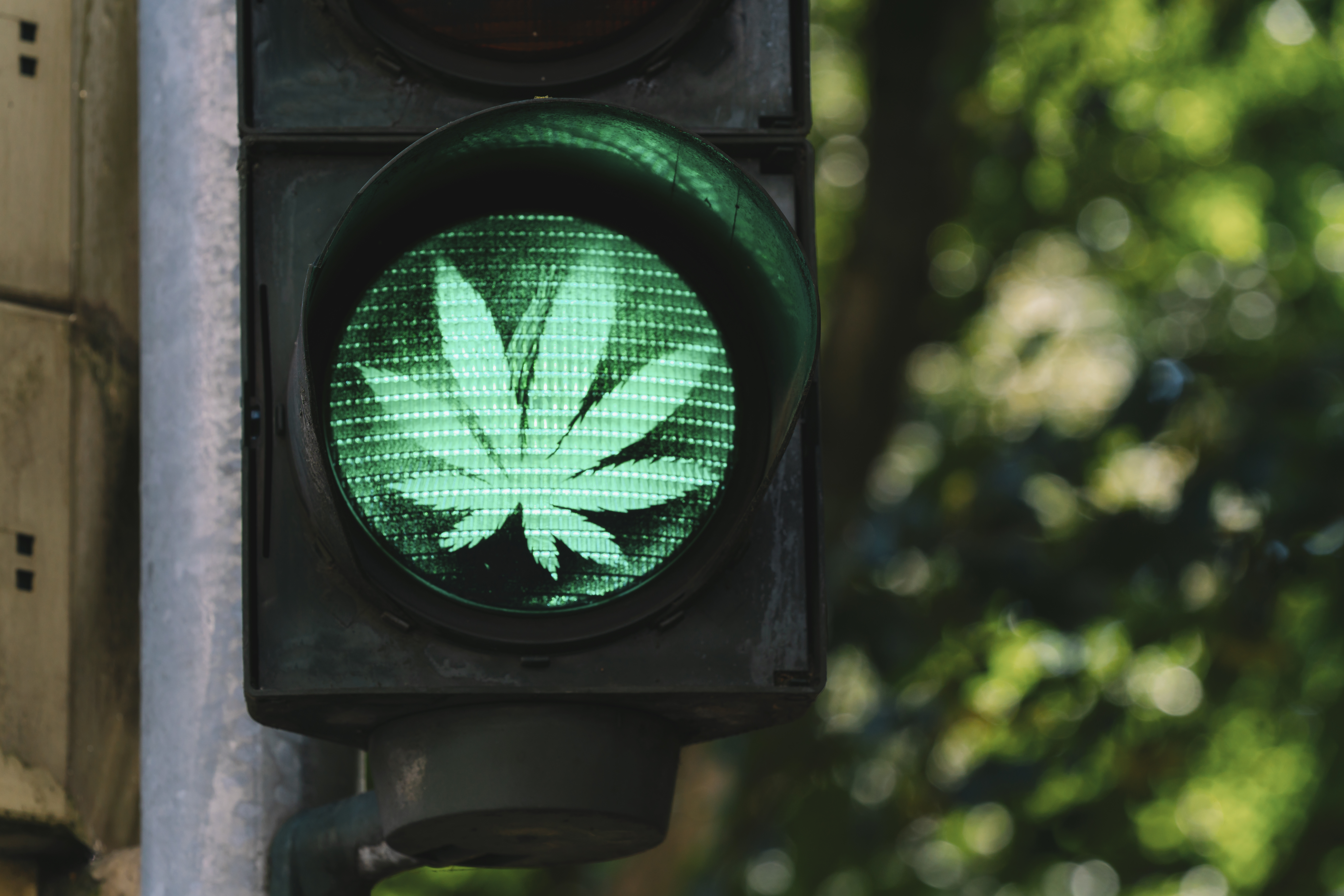 traffic light with cannabis sign – legalize it concept image