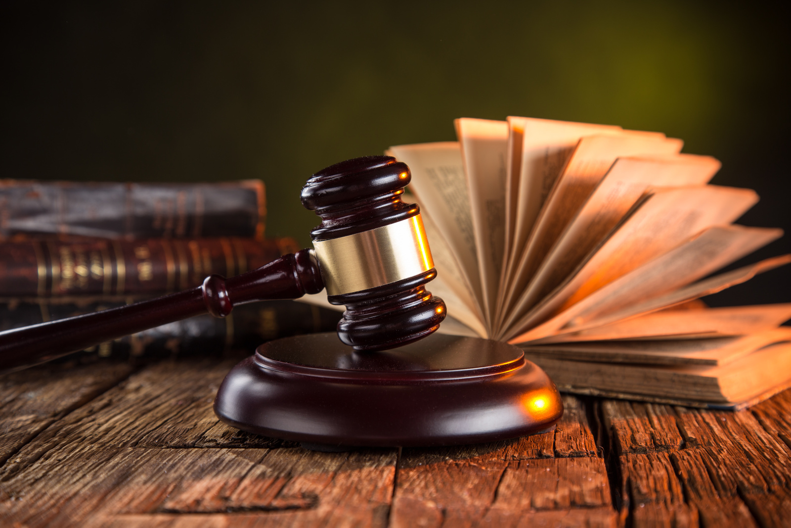 e9fe1e33-35e0-45ef-abb5-f9f8465ca0f0 a gavel and a book