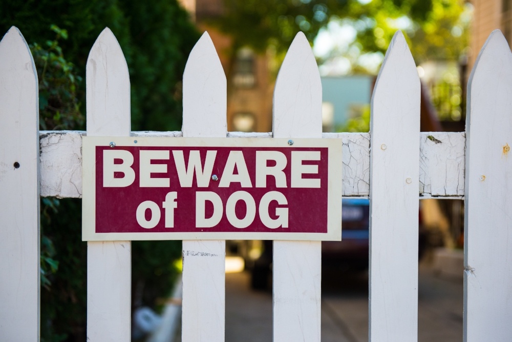 low%20dog-693381-edited A beware of dog sign on a fence