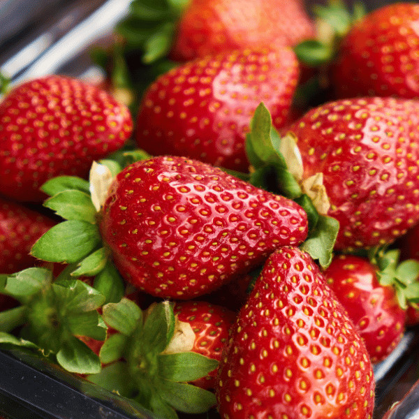 closeup of ripe strawberries